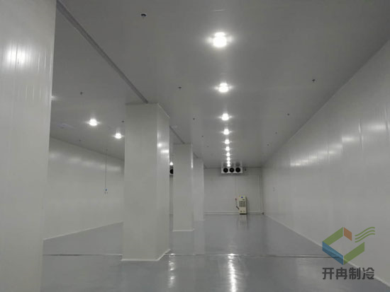 藥品冷凍庫建造安裝設計的特點及優勢是哪些?