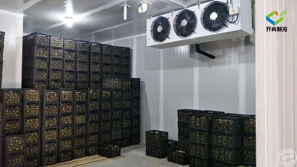 建造一個(gè)100噸的水果保鮮冷庫(kù)多少錢(qián)？