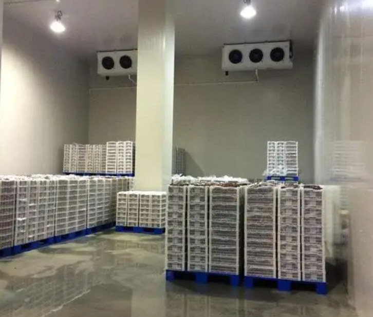 規(guī)范建造100平帶魚冷庫，為食品保鮮護(hù)航