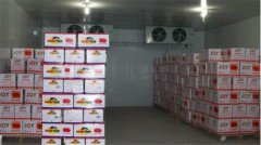 我想建個水果保鮮冷庫,需要考慮哪些方面問題