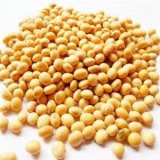 鮮黃豆冷庫設(shè)計(jì)安裝造價(jià)，冷庫保鮮溫度是多少