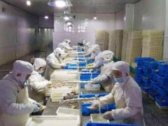 安裝一個(gè)3000立方低溫冷凍庫(kù)需要投資多少錢?