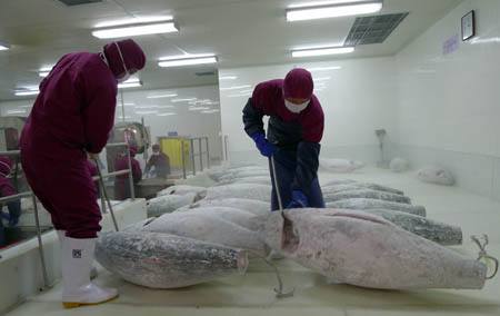 水產(chǎn)冷庫、三文魚生魚片冷庫