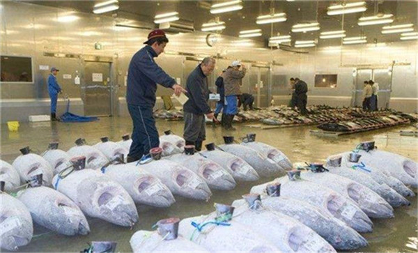 　水產(chǎn)冷庫、三文魚生魚片冷庫