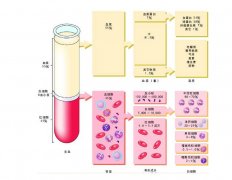 -30℃～-80℃血漿蛋白低溫冷凍庫規(guī)范，冷庫安裝價(jià)格