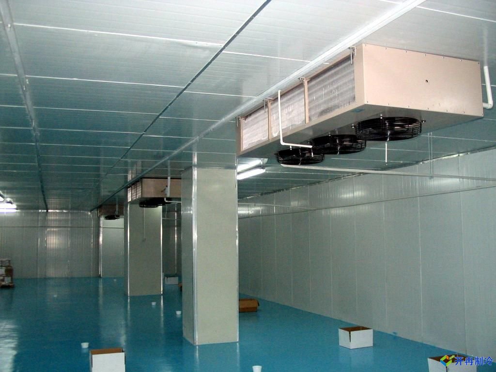 設計一個700噸冷凍庫造價多少錢？冷藏庫設備造價