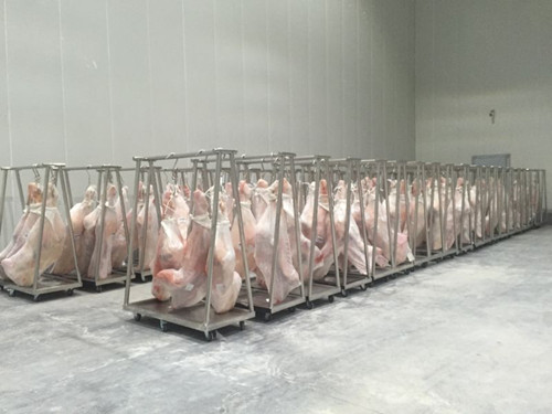 1000平牛肉冷藏庫造價多少錢,低溫凍肉冷庫建造