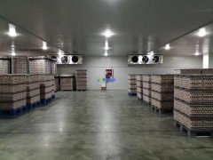 安裝1300噸水果冷藏庫預算是多少?后期用電能耗大嗎?